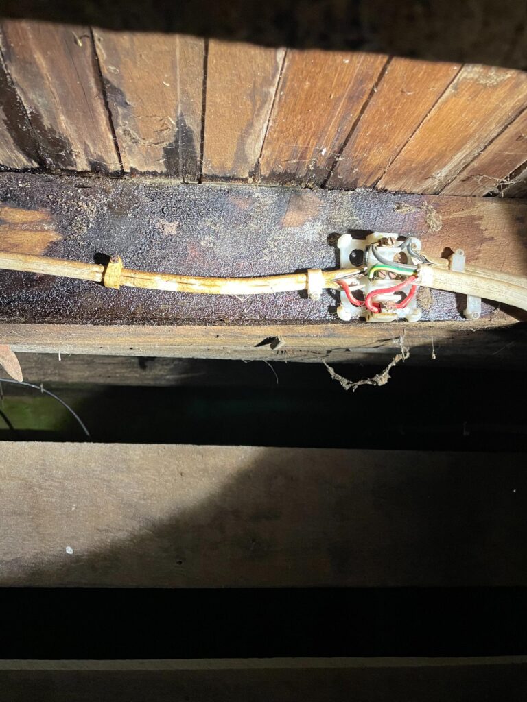 Electrician in Sassafras