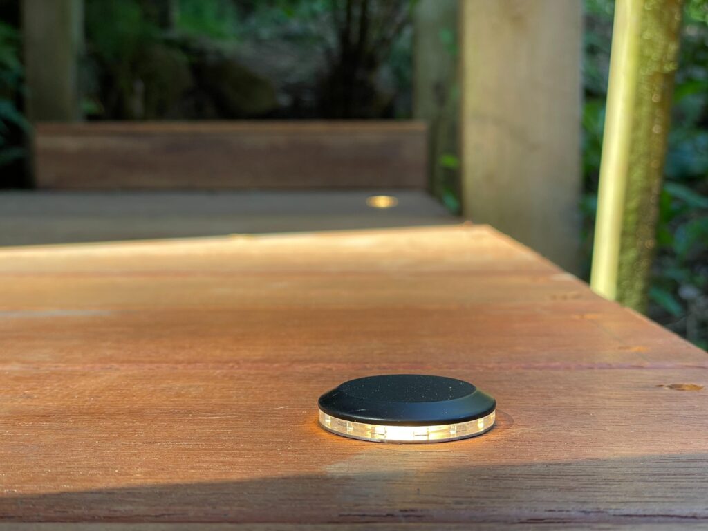 Lighting Installation in Sassafras